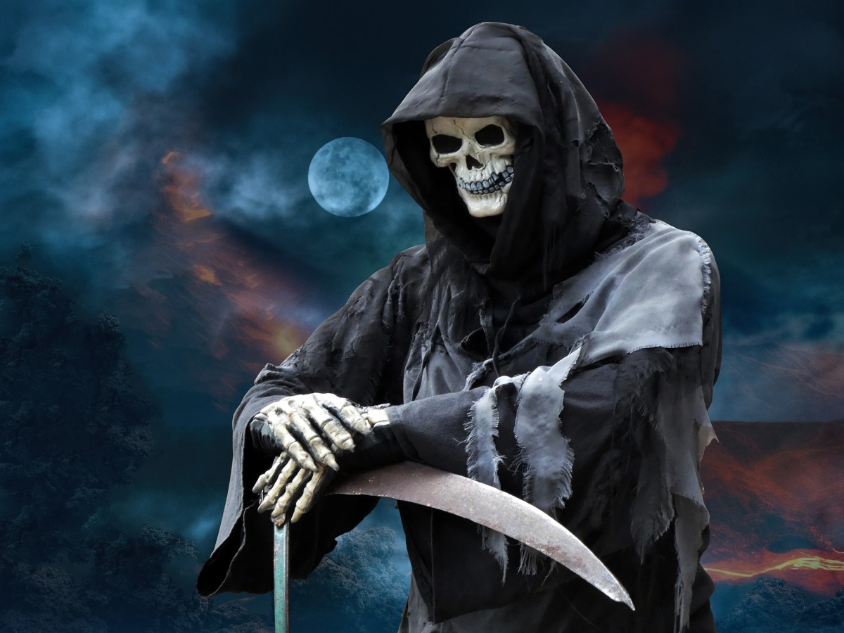 Saturday Snippets: December&nbsp;2022