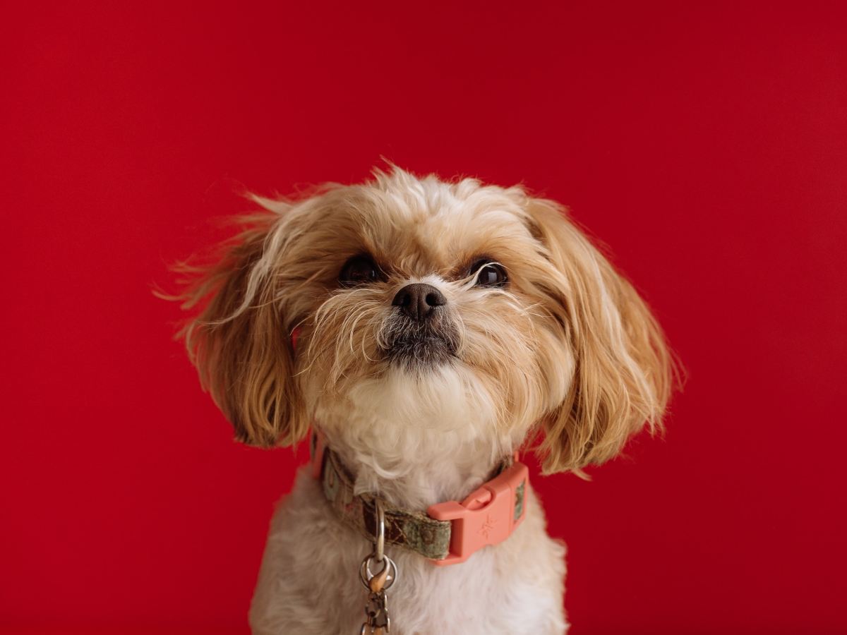 Saturday Snippets: April&nbsp;2023